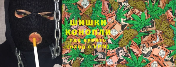мдпв Рославль