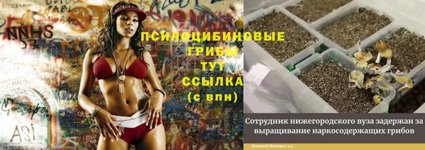 бутират Алексин