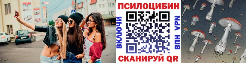 купить   Жуков  Галлюциногенные грибы Psilocybe 